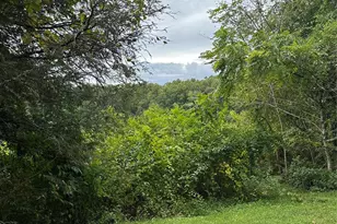 112 and 154 Merri Dr, Hendersonville, NC 28792 - Photo 17