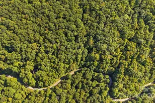 0 Brush Crk Mountain Rd, Bryson City, NC 28713 - Photo 9