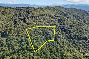 0 Brush Crk Mountain Rd, Bryson City, NC 28713 - Photo 1
