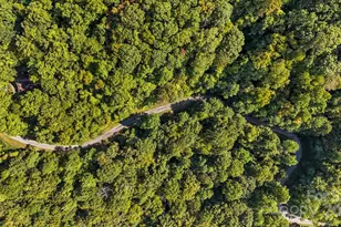 0 Brush Crk Mountain Rd, Bryson City, NC 28713 - Photo 5