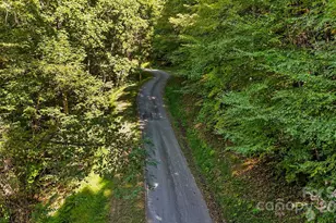 0 Brush Crk Mountain Rd, Bryson City, NC 28713 - Photo 3