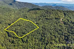 0 Brush Crk Mountain Rd, Bryson City, NC 28713 - Photo 7