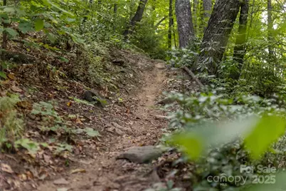 Tbd Old Clear Creek Road, Hendersonville, NC 28792 - Photo 17