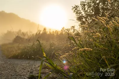 Tbd Old Clear Creek Road, Hendersonville, NC 28792 - Photo 11