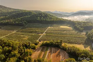 Tbd Old Clear Creek Rd, Hendersonville, NC 28792 - Photo 1