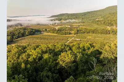 Tbd Old Clear Creek Road, Hendersonville, NC 28792 - Photo 5