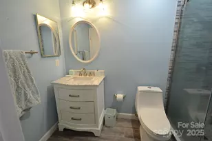 18867 Vineyard Point Ln, Cornelius, NC 28031 - Photo 17