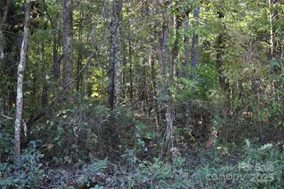 0 Tobas Road, Rockwell, NC 28138 - Photo 3