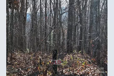 99999 Dancing Bear Drive #53, Hendersonville, NC 28792 - Photo 7