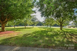 1814 Hwy 601 Hwy N, Pageland, SC 29728 - Photo 7