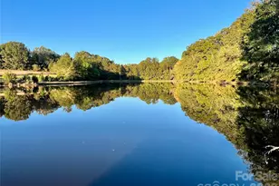 1011 Ratchford Rd, York, SC 29745 - Photo 39