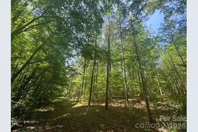 1011 Ratchford Road, York, SC 29745 - Photo 47