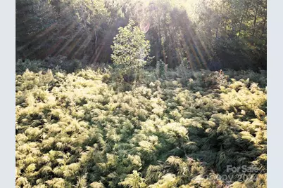 111 River View Drive, Mooresboro, NC 28114 - Photo 33