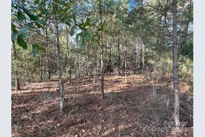 111 River View Drive, Mooresboro, NC 28114 - Photo 37