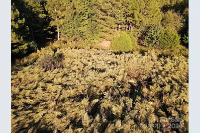 111 River View Drive, Mooresboro, NC 28114 - Photo 35