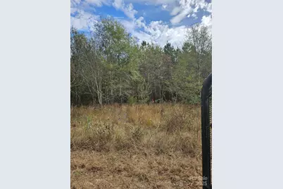 0 Ingold School Road, Albemarle, NC 28001 - Photo 15