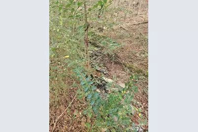 0 Ingold School Road, Albemarle, NC 28001 - Photo 17