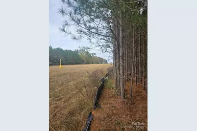 0 Ingold School Road, Albemarle, NC 28001 - Photo 21