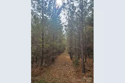 0 Ingold School Road, Albemarle, NC 28001 - Photo 5