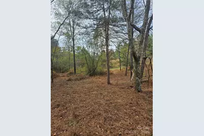 0 Ingold School Road, Albemarle, NC 28001 - Photo 7