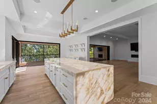 13702 Sage Thrasher Ln, Charlotte, NC 28278 - Photo 9