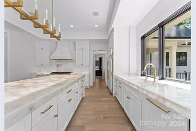 13702 Sage Thrasher Lane, Charlotte, NC 28278 - Photo 11