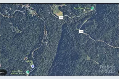 6.96 Acres Big Hungry Road, Flat Rock, NC 28731 - Photo 7