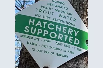 6.96 Acres Big Hungry Road, Flat Rock, NC 28731 - Photo 11