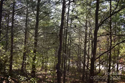 0 Holland Drive #3, Columbus, NC 28722 - Photo 15