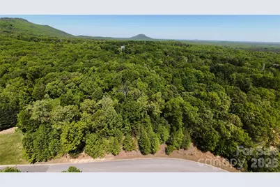 5112 Kings Pinnacle Drive, Kings Mountain, NC 28086 - Photo 3