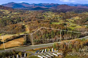 7 Brookshire Rd, Leicester, NC 28748 - Photo 47