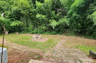 3337 Eastway Dr, Charlotte, NC 28205 - Photo 13