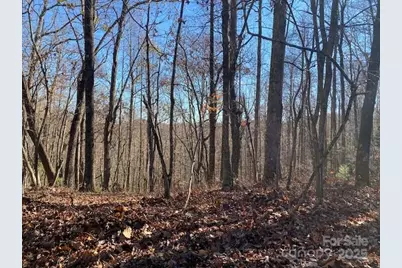 U09 L046 Connestee Trail, Brevard, NC 28712 - Photo 5
