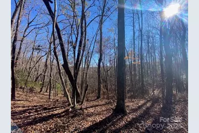 U09 L046 Connestee Trail, Brevard, NC 28712 - Photo 3