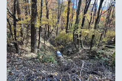 00 Wahwah Way #17, Waynesville, NC 28785 - Photo 5