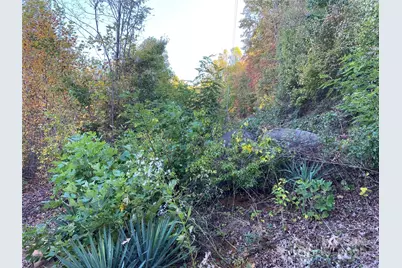 3642 Barus Pond Loop, Valdese, NC 28690 - Photo 11