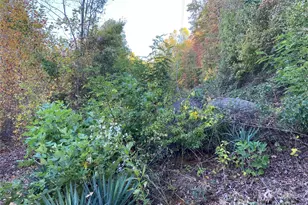 3642 Barus Pond Loop, Valdese, NC 28690 - Photo 11