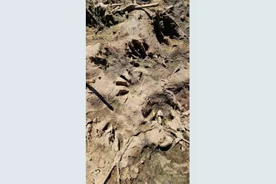 10130 Reed Mine Road, Midland, NC 28107 - Photo 19