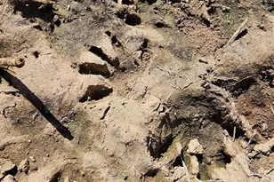 10130 Reed Mine Rd, Midland, NC 28107 - Photo 19