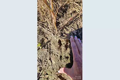 10130 Reed Mine Road, Midland, NC 28107 - Photo 21