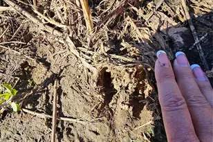 10130 Reed Mine Rd, Midland, NC 28107 - Photo 21