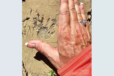 10130 Reed Mine Road, Midland, NC 28107 - Photo 17