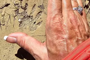 10130 Reed Mine Rd, Midland, NC 28107 - Photo 17