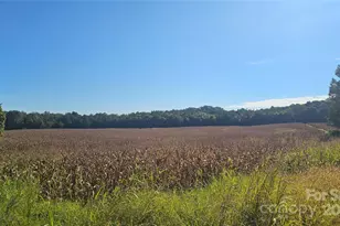 10130 Reed Mine Rd, Midland, NC 28107 - Photo 25