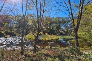 10130 Reed Mine Rd, Midland, NC 28107 - Photo 11