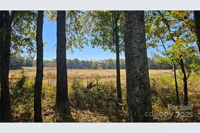 10130 Reed Mine Road, Midland, NC 28107 - Photo 3