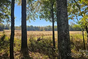 10130 Reed Mine Rd, Midland, NC 28107 - Photo 3