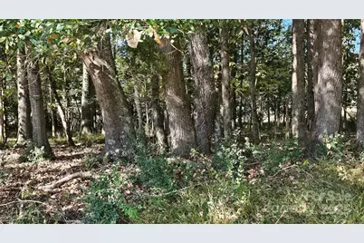 10130 Reed Mine Road, Midland, NC 28107 - Photo 7