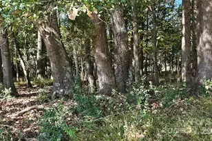 10130 Reed Mine Rd, Midland, NC 28107 - Photo 7