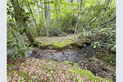 4102 Highway 221 None S, Blowing Rock, NC 28605 - Photo 5